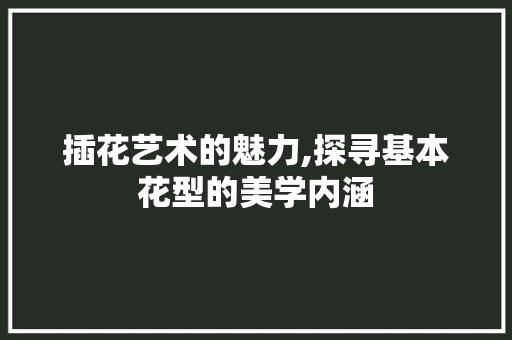 插花艺术的魅力,探寻基本花型的美学内涵