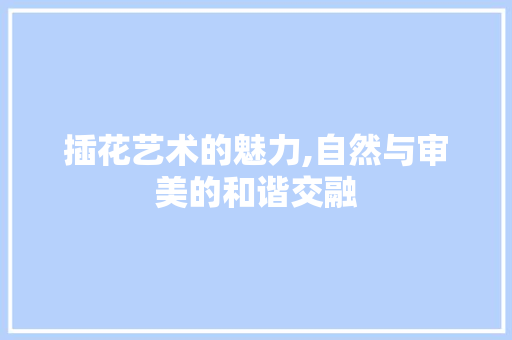 插花艺术的魅力,自然与审美的和谐交融 种植技术