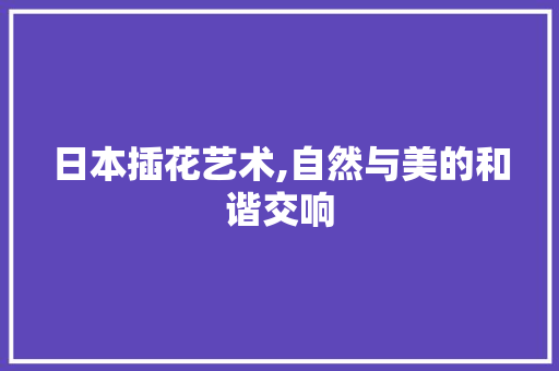 日本插花艺术,自然与美的和谐交响