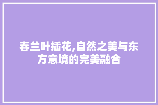 春兰叶插花,自然之美与东方意境的完美融合