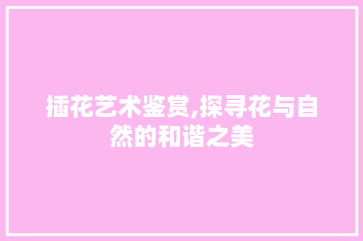 插花艺术鉴赏,探寻花与自然的和谐之美