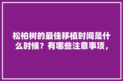 松柏树的最佳移植时间是什么时候？有哪些注意事项，绿化松柏类苗木价格走势图。