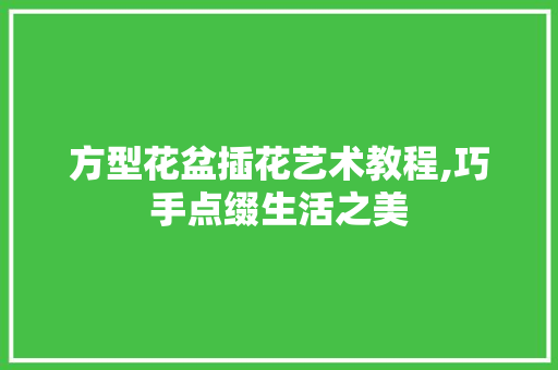 方型花盆插花艺术教程,巧手点缀生活之美