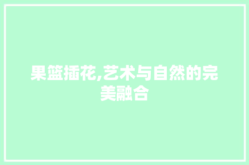 果篮插花,艺术与自然的完美融合