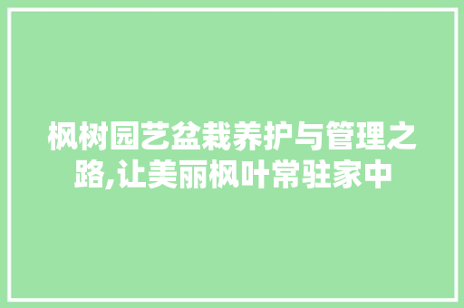 枫树园艺盆栽养护与管理之路,让美丽枫叶常驻家中