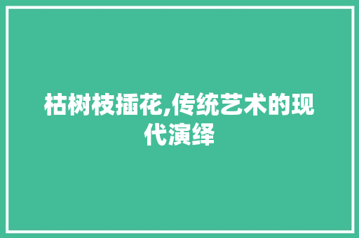 枯树枝插花,传统艺术的现代演绎
