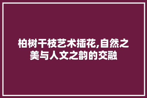 柏树干枝艺术插花,自然之美与人文之韵的交融