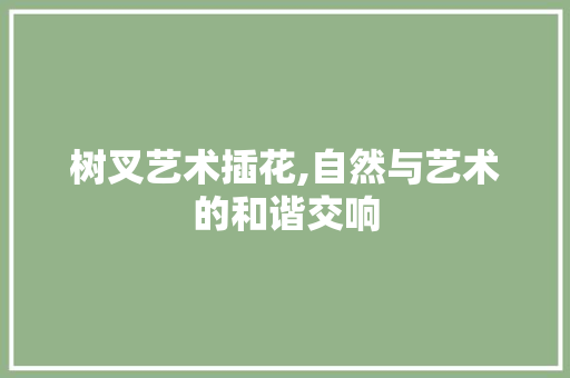 树叉艺术插花,自然与艺术的和谐交响