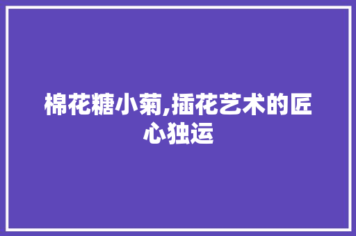 棉花糖小菊,插花艺术的匠心独运