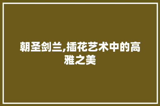 朝圣剑兰,插花艺术中的高雅之美