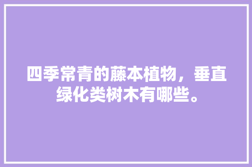 四季常青的藤本植物，垂直绿化类树木有哪些。
