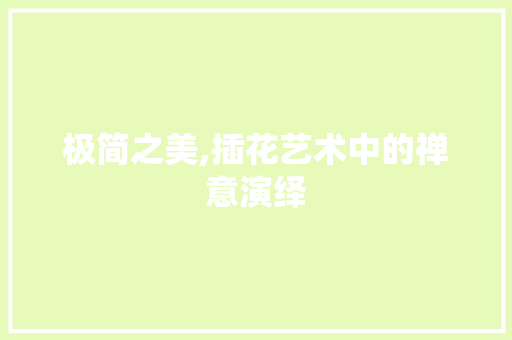 极简之美,插花艺术中的禅意演绎 苗木百科