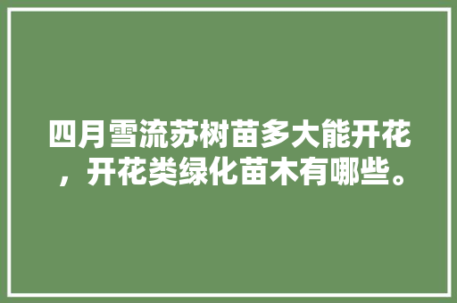 四月雪流苏树苗多大能开花，开花类绿化苗木有哪些。