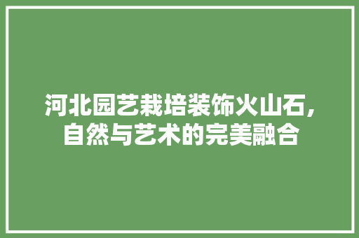 河北园艺栽培装饰火山石,自然与艺术的完美融合