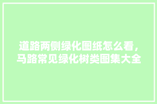 道路两侧绿化图纸怎么看，马路常见绿化树类图集大全。