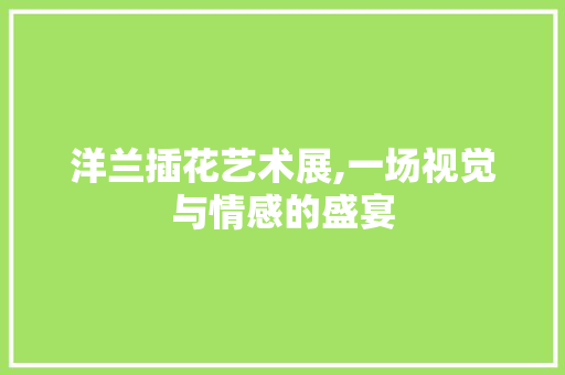 洋兰插花艺术展,一场视觉与情感的盛宴