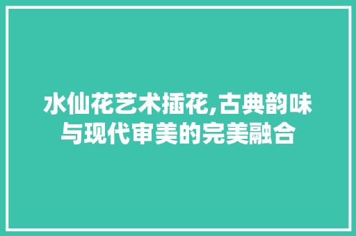 水仙花艺术插花,古典韵味与现代审美的完美融合 病虫防治