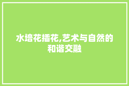 水培花插花,艺术与自然的和谐交融