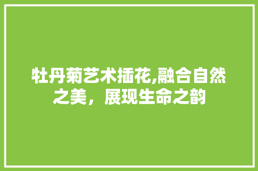 牡丹菊艺术插花,融合自然之美，展现生命之韵 花卉百科