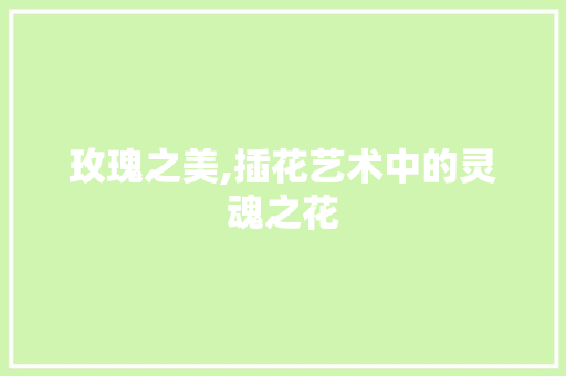 玫瑰之美,插花艺术中的灵魂之花 病虫防治