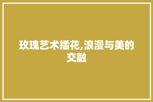 玫瑰艺术插花,浪漫与美的交融 病虫防治