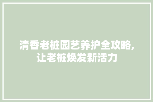 清香老桩园艺养护全攻略,让老桩焕发新活力