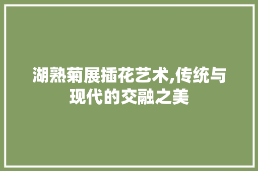 湖熟菊展插花艺术,传统与现代的交融之美 果苗类