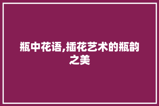 瓶中花语,插花艺术的瓶韵之美 种子类 瓶中花语,插花艺术的瓶韵之美 种子类