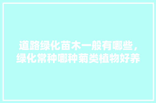 道路绿化苗木一般有哪些，绿化常种哪种菊类植物好养。