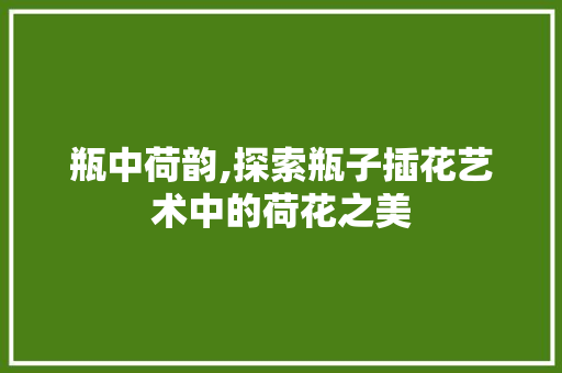 瓶中荷韵,探索瓶子插花艺术中的荷花之美 花卉百科 瓶中荷韵,探索瓶子插花艺术中的荷花之美 花卉百科