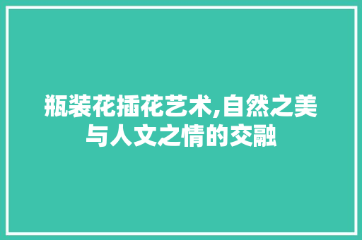 瓶装花插花艺术,自然之美与人文之情的交融