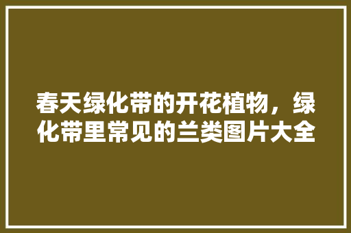 春天绿化带的开花植物，绿化带里常见的兰类图片大全。