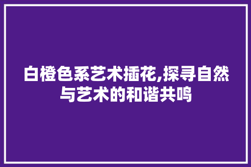 白橙色系艺术插花,探寻自然与艺术的和谐共鸣