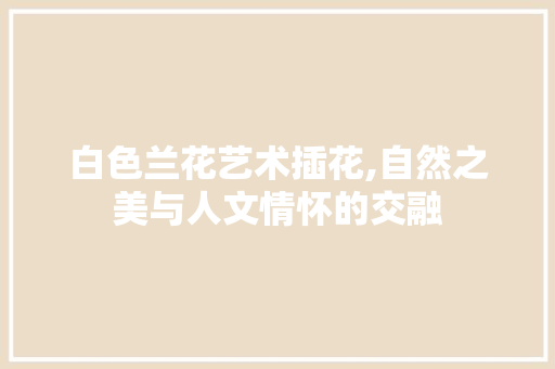 白色兰花艺术插花,自然之美与人文情怀的交融