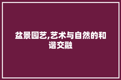 盆景园艺,艺术与自然的和谐交融 果苗类