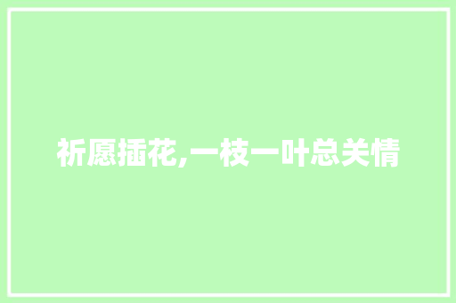 祈愿插花,一枝一叶总关情