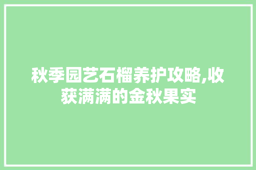 秋季园艺石榴养护攻略,收获满满的金秋果实