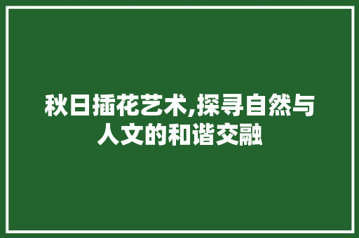 秋日插花艺术,探寻自然与人文的和谐交融 种子类