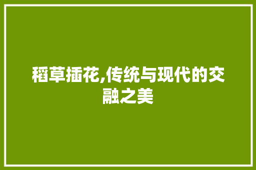 稻草插花,传统与现代的交融之美 花卉百科