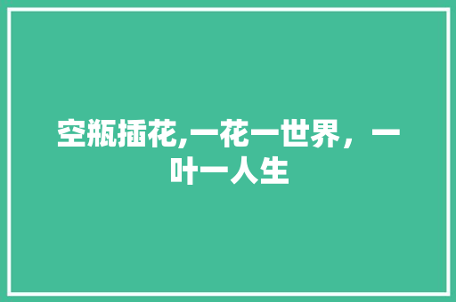 空瓶插花,一花一世界，一叶一人生