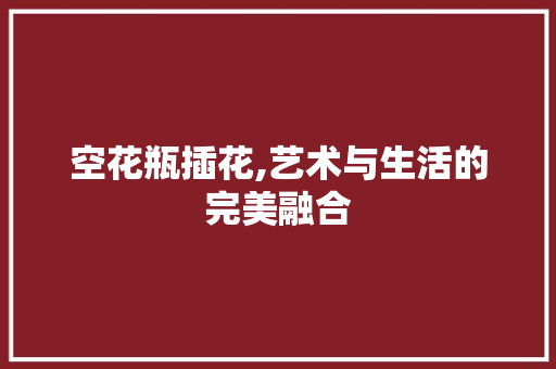 空花瓶插花,艺术与生活的完美融合 种子类