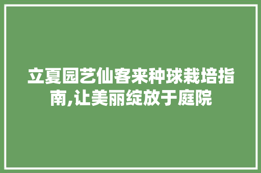 立夏园艺仙客来种球栽培指南,让美丽绽放于庭院