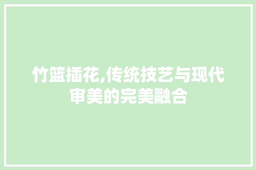 竹篮插花,传统技艺与现代审美的完美融合 种子类