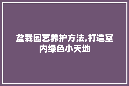 盆栽园艺养护方法,打造室内绿色小天地