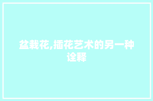盆栽花,插花艺术的另一种诠释