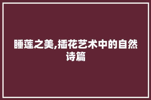 睡莲之美,插花艺术中的自然诗篇