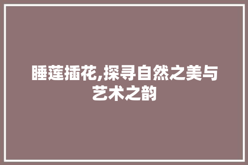 睡莲插花,探寻自然之美与艺术之韵