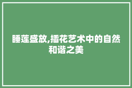 睡莲盛放,插花艺术中的自然和谐之美