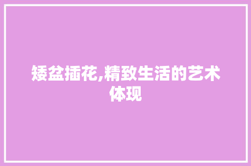 矮盆插花,精致生活的艺术体现 苗木百科