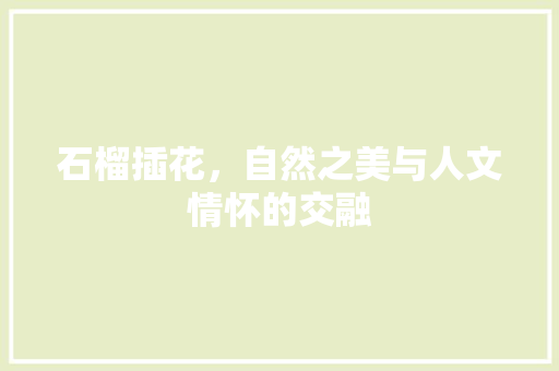 石榴插花，自然之美与人文情怀的交融